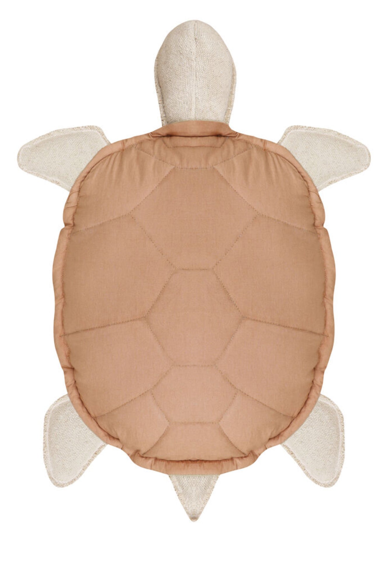 Turtle Throw Pillow