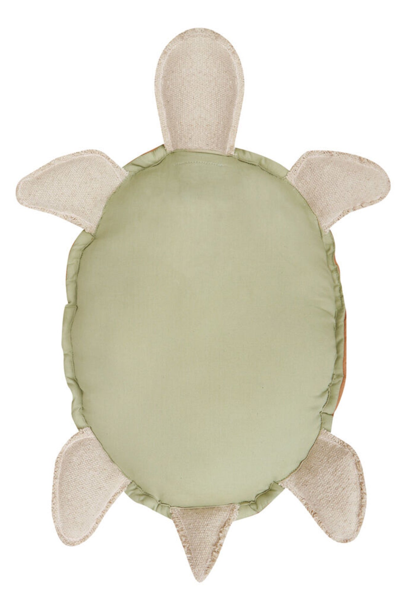 Turtle Throw Pillow