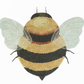 Washable Bee Rug