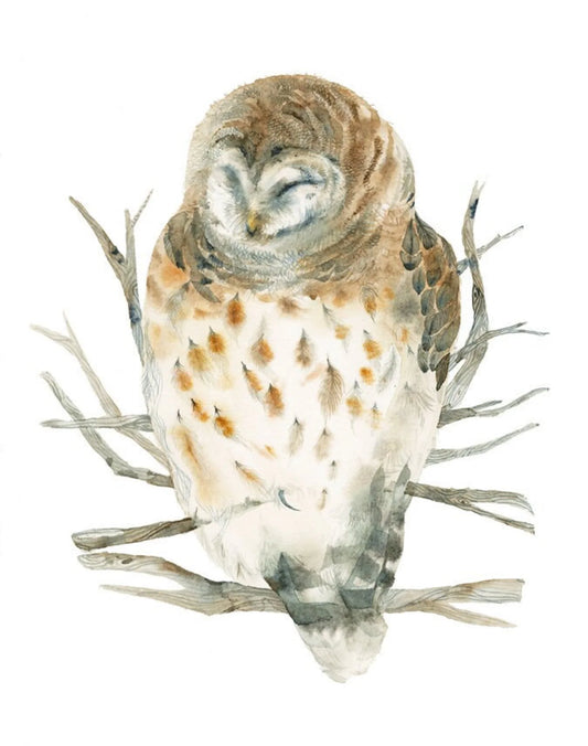 Winter Owl Print