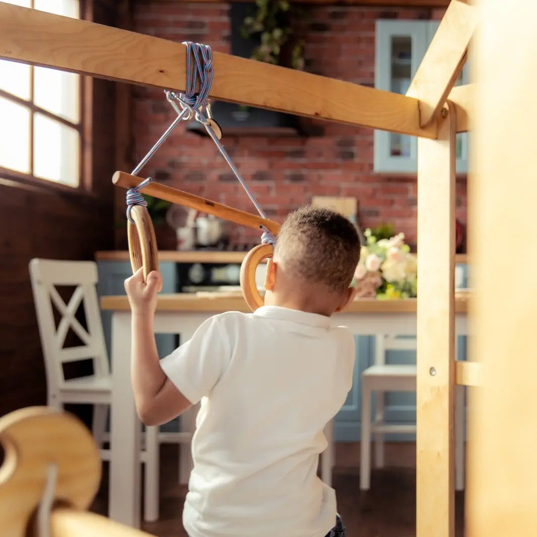 Indoor Wooden Playhouse with Triangle ladder, Slide Board and Swings