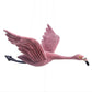 Flapping Flamingo