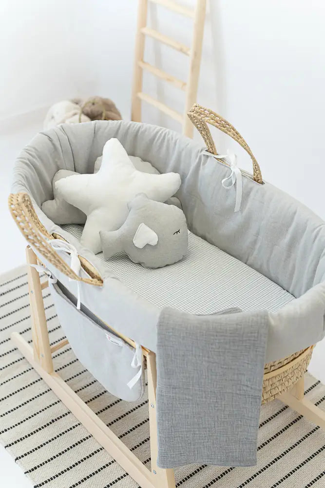 Totoro Bassinet