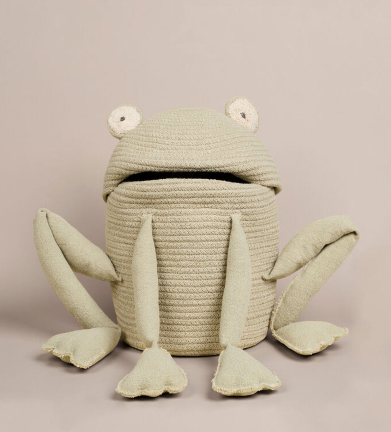 Fred the Frog Basket