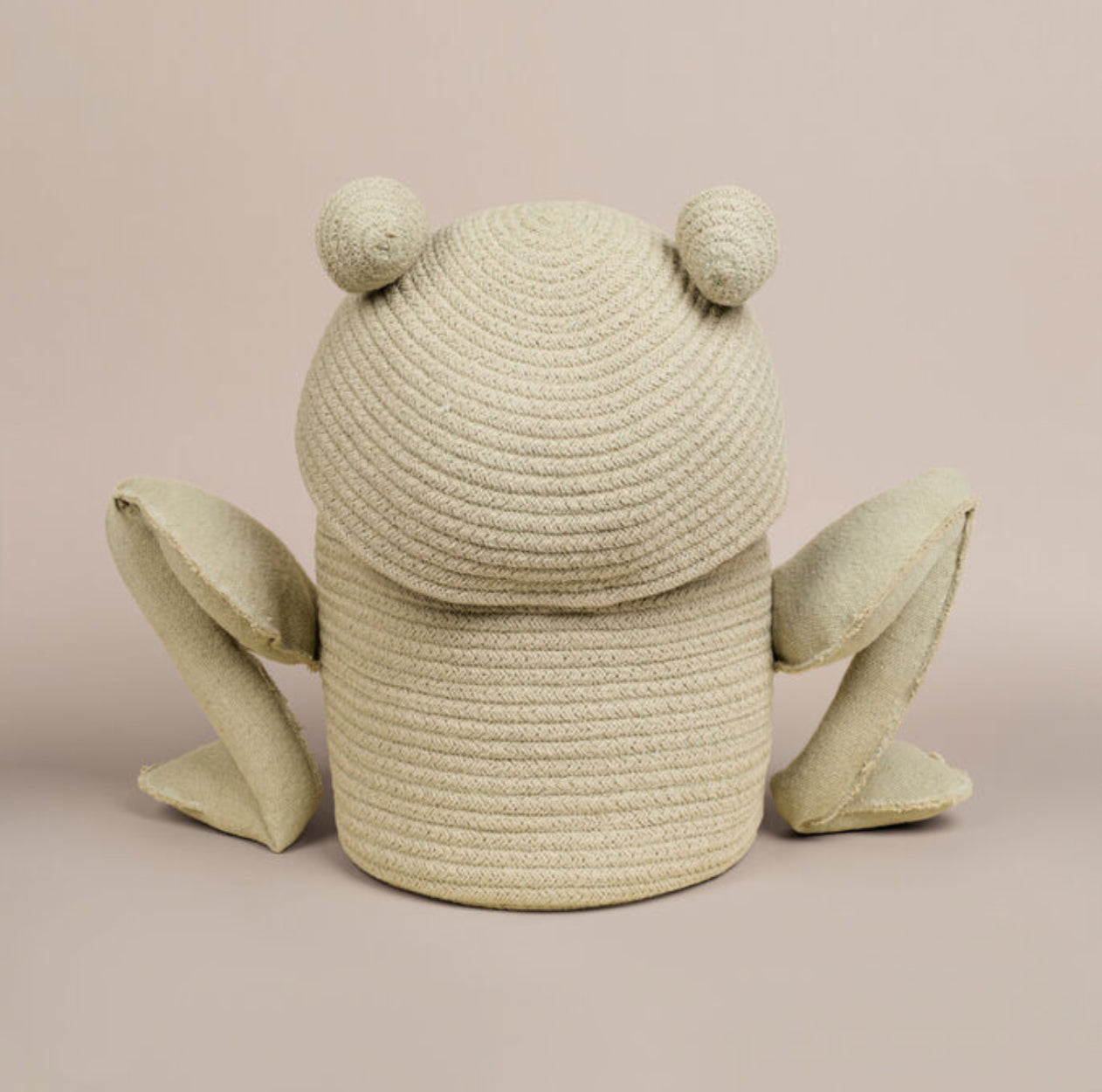 Fred the Frog Basket