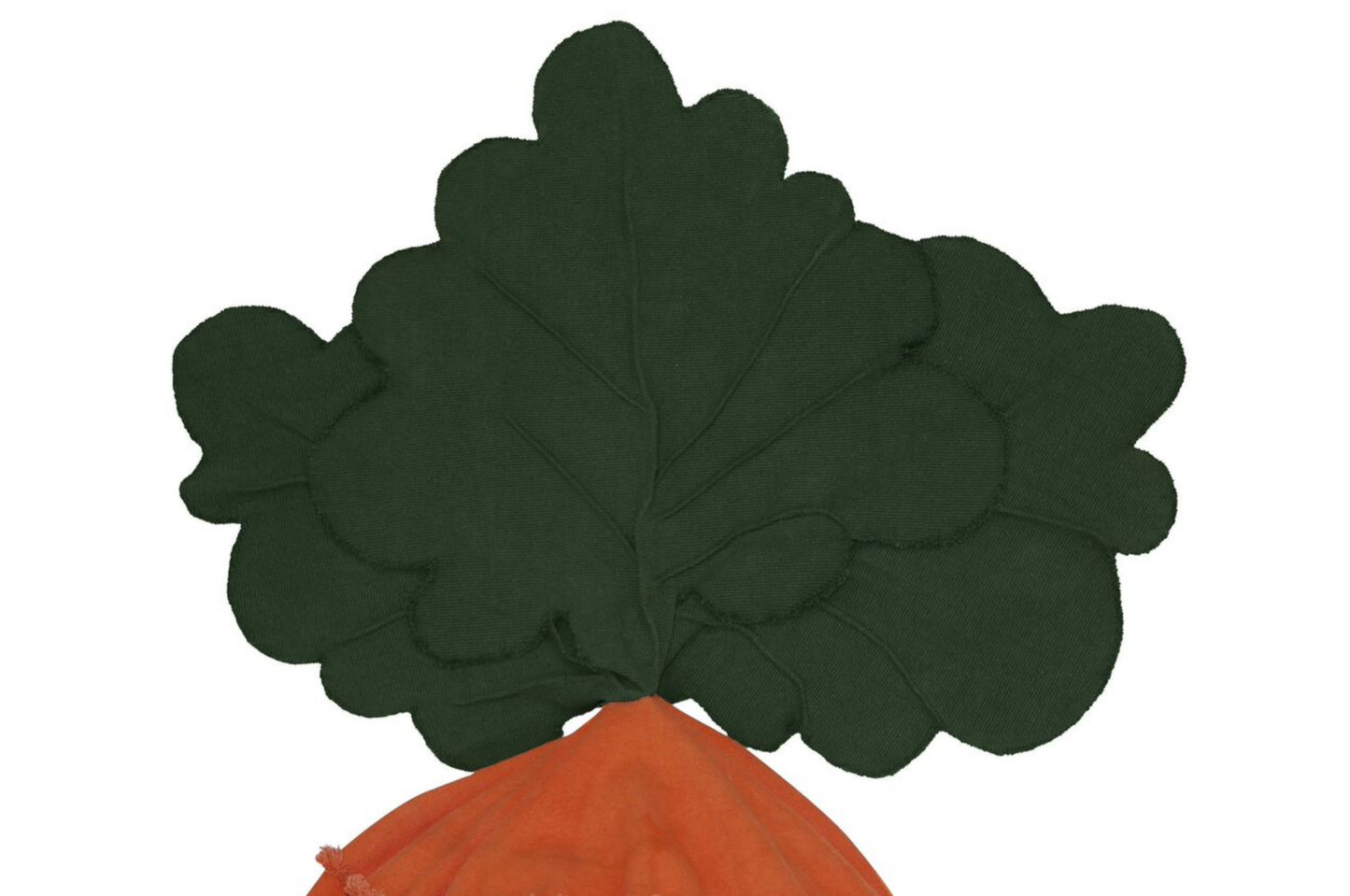 Cathy the Carrot Bean Bag