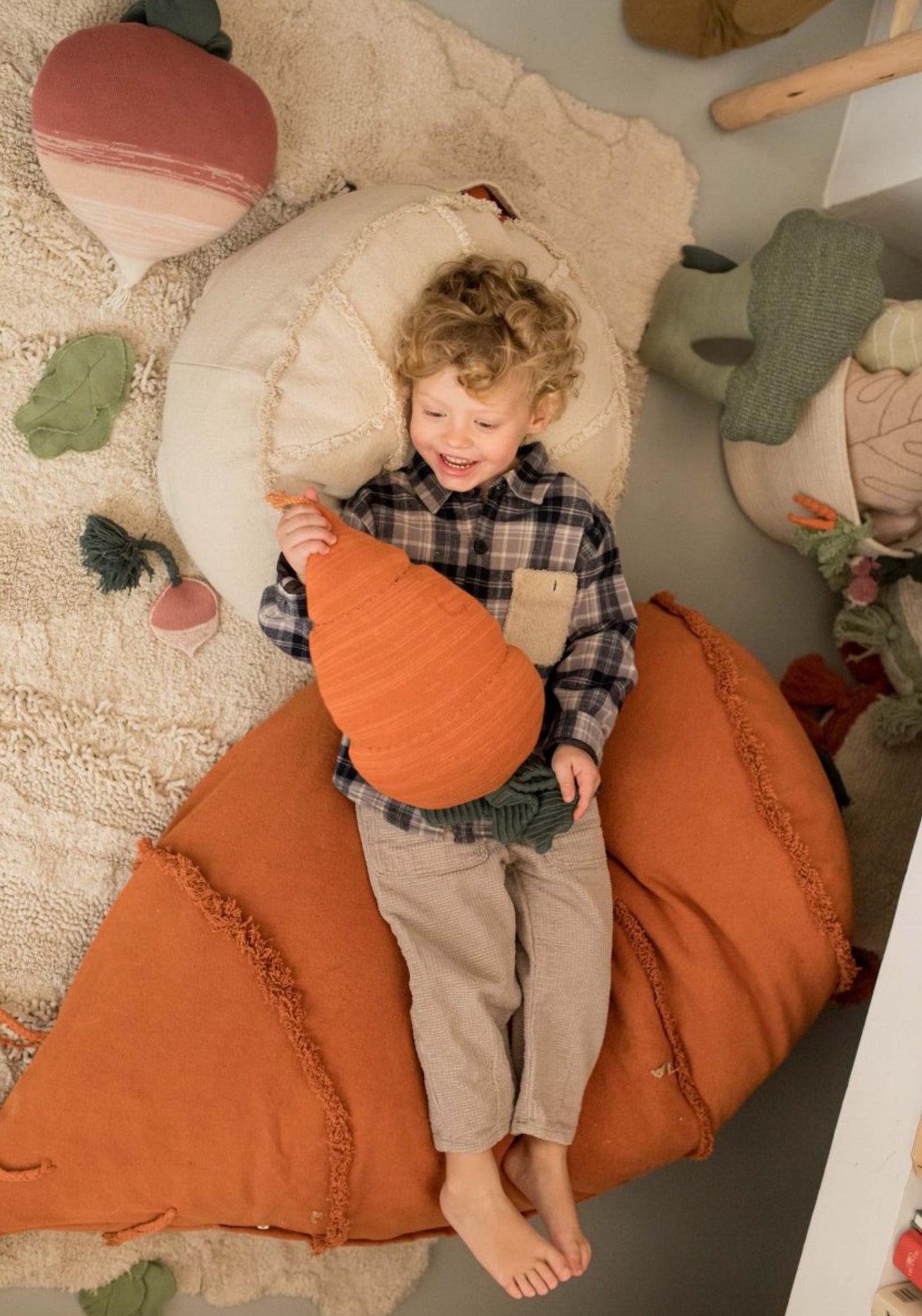 Cathy the Carrot Bean Bag