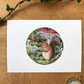 Squirrel and Red Mushroom Giclée Print