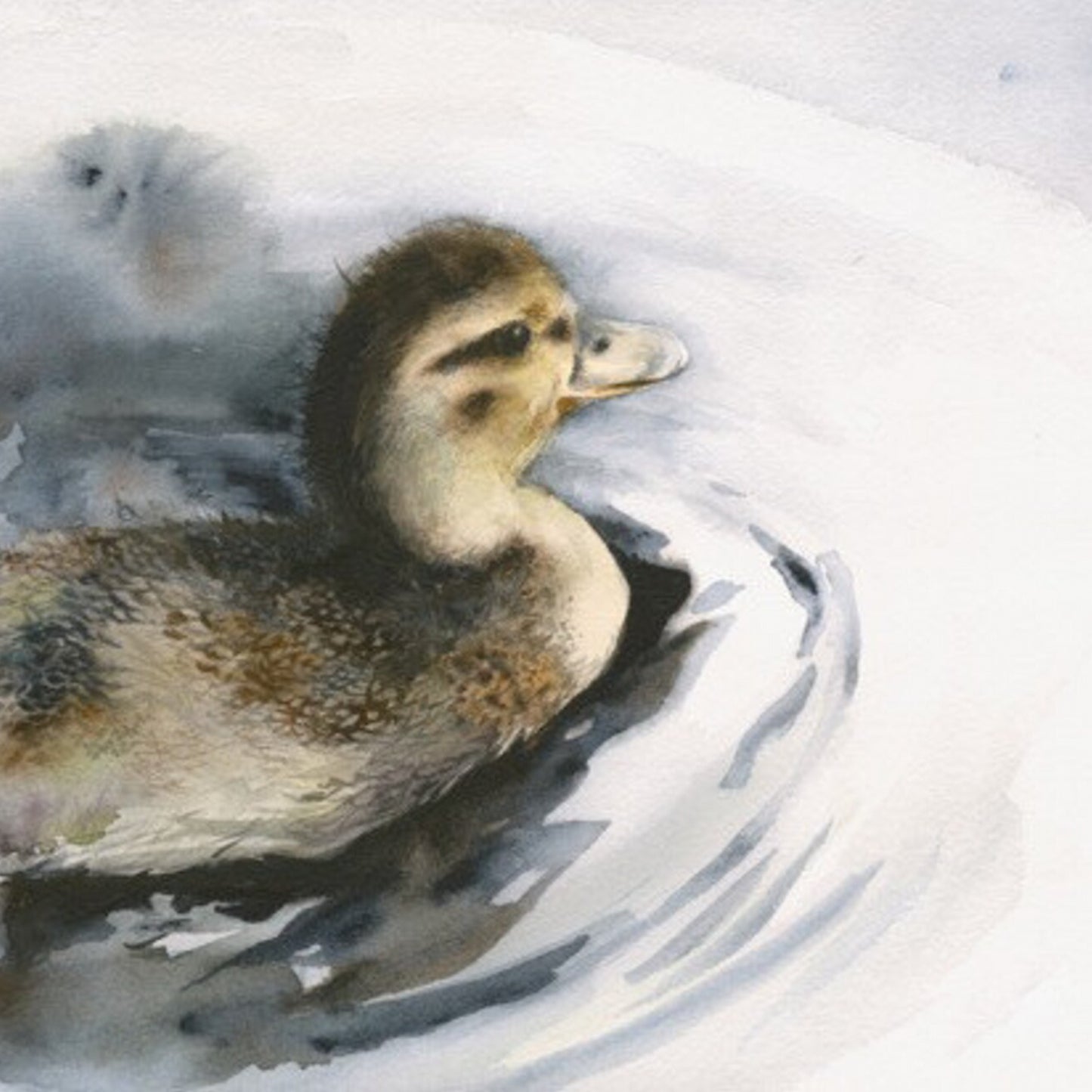 Duckling