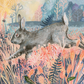 Rabbit in the Field Print