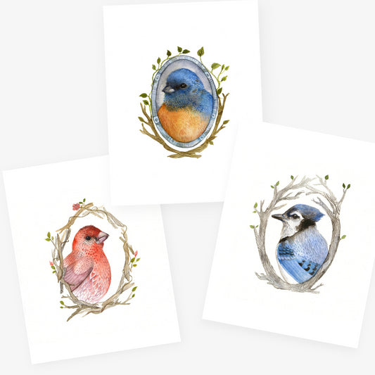 Bird Portrait Set