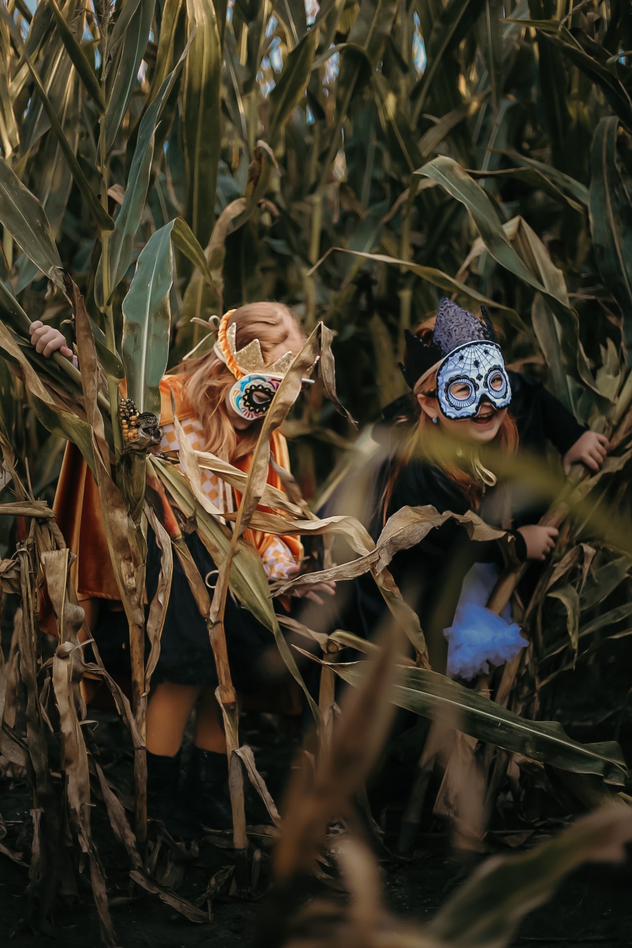 Colorful Halloween Skull Mask