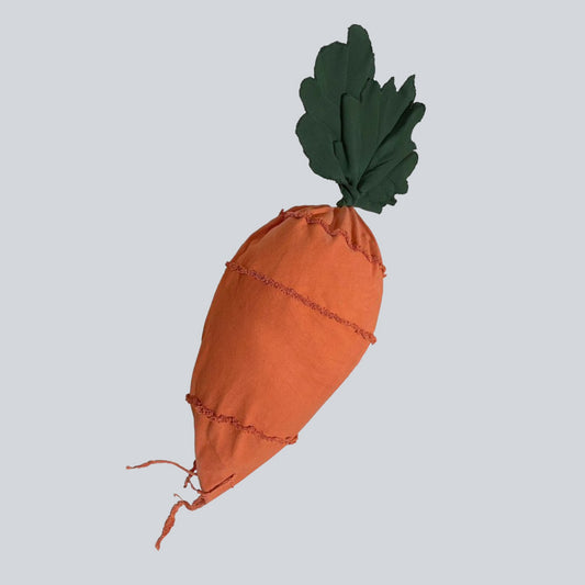 Cathy the Carrot Bean Bag