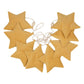 Velvet Honey Dust Star Garland