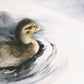 Duckling